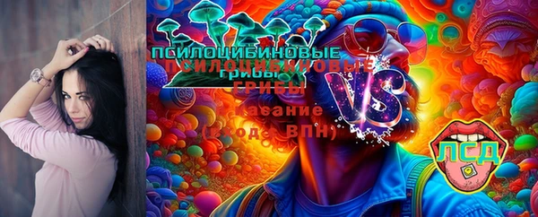 дживик Верея