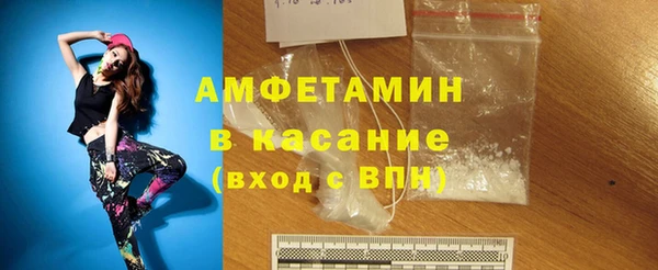 гидра Вязьма