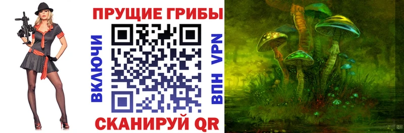 Псилоцибиновые грибы Psilocybe как найти наркотики Дубовка